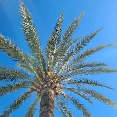 Modern House With Large Pool!