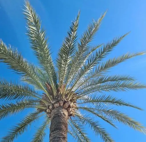 Modern House With Large Pool!