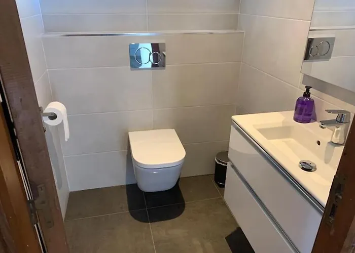 Modern House With Large Pool!