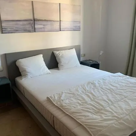 Modern House With Large Pool!